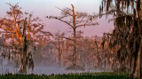 IMG_0056-3ccc.jpg