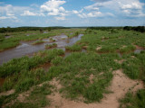 River crossing ~ Kruger National Park