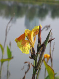 Beijing 2008 Autumn