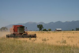 A combine harvester, Somers