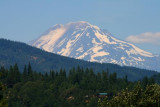 Mt Adams from Hood