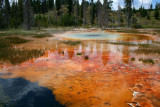Colourful Pools at Yellowstone