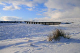 Ribblehead Viaduct