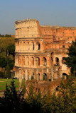 Colloseum from Palatine Hill