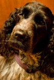 Elanor 14/04