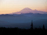 P8013834 Mt Rainier.jpg