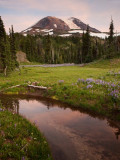 P8013858 Mt Adams.jpg