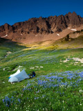 P8044319 Alpine Meadow in the Goat Rocks Wilderness.jpg