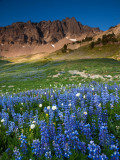 P8044320 Alpine Meadow in the Goat Rocks Wilderness.jpg