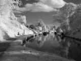Shropshire Union Canal #12