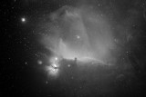 Horsehead- Nebula (IC434) in Orion