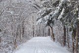 Its STILL snowing here in Ohio - March 23rd !!