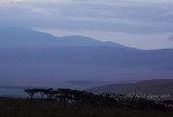  Africa Ngorongoro Crater  CL Safari 2009