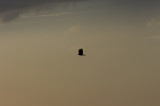 K20D8359.jpg