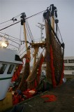 Werkzaamheden op de kaai van Stellendam