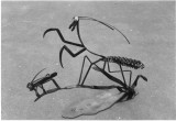 praying mantis with bug
