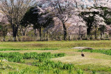 Naka_gawa riverside park, Tochigi