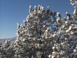 EVERGREEN, CO 0059.tif