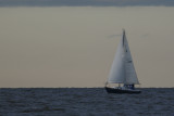 sailboat 4.jpg