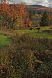 20071020-catskills-3927 - Version 2.jpg