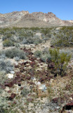 Rusting Away In The Desert