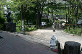 _MG_3731.jpg