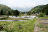 _MG_3887.jpg