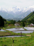 RIMG0160.jpg