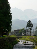 RIMG0251.jpg