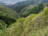 RIMG0322.jpg