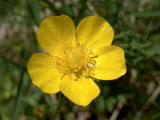 R0010105.jpg