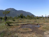 R0010110.jpg