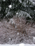 White Easter