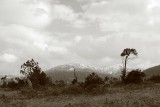 Clouds over Muskeg