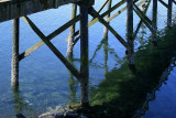 Middle Harbor pilings