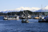 South Harbor viewing North