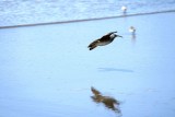 _MG_0664.jpg