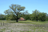 Barn