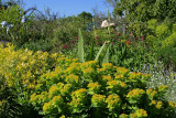 Nancys English Garden