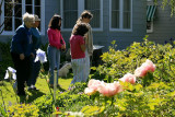 Nancys English Garden