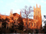 Side View at Evening