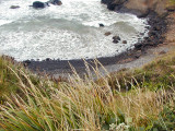 Ecola 2
