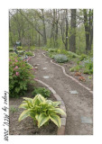 Spring Pathway