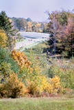 Watkins Glen, a peek at the track