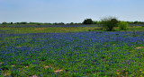 APR_0535 Karnes County, Texas