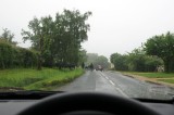 May 28, Cows Block our Way
