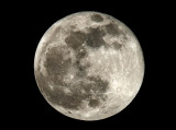 BlueMoon1