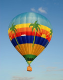 Tropical hot air balloon