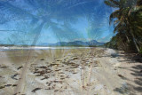 Beach shot with Palms overlay