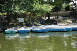 Boats for rent